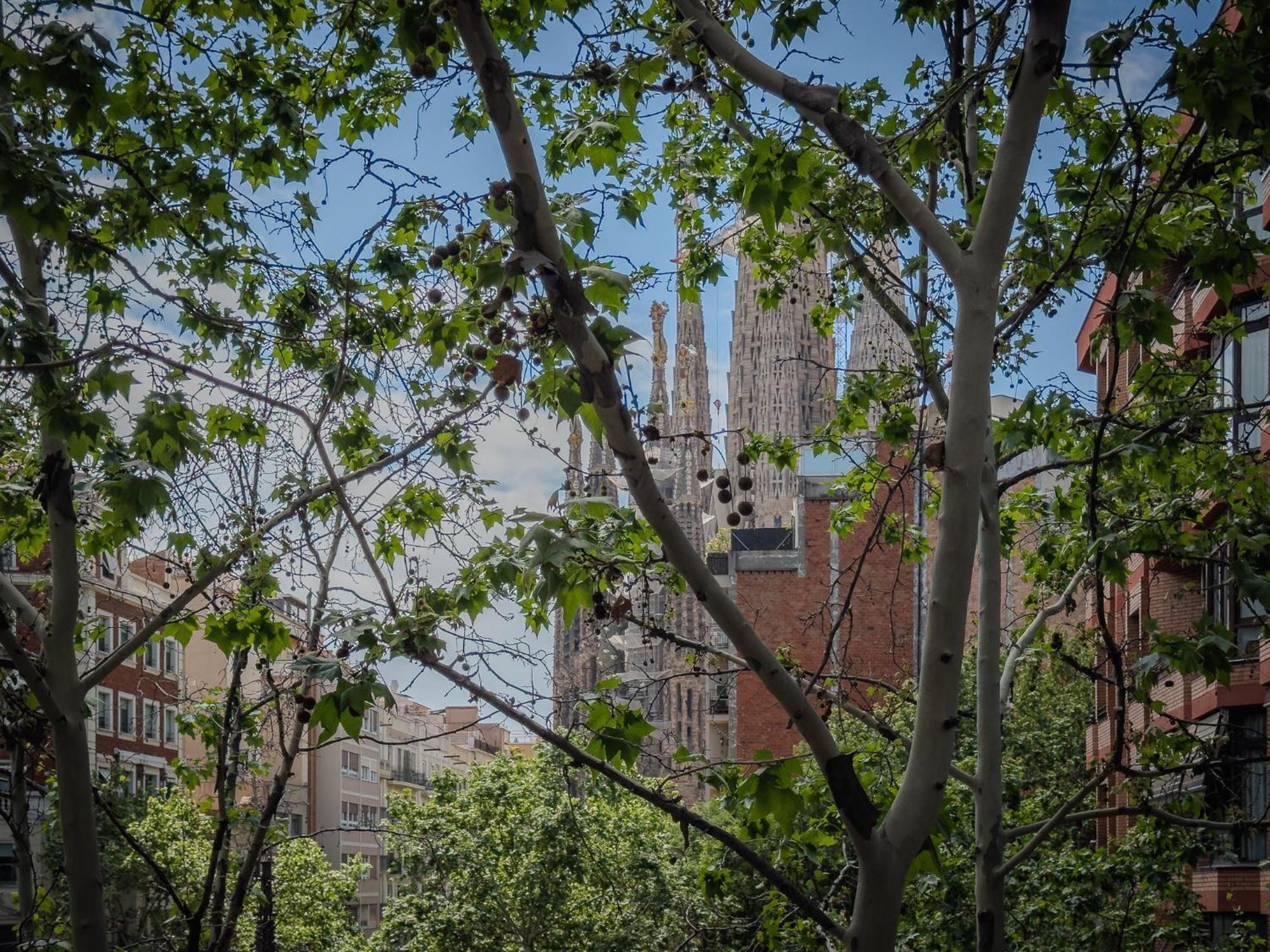 Stay U-Nique Apartments Gaudi I バルセロナ エクステリア 写真